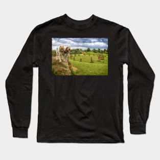 Dogs on a Rock Spinoni Long Sleeve T-Shirt